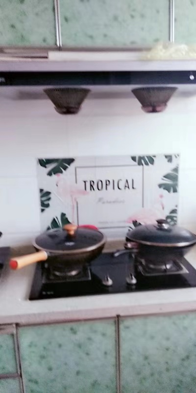 樱花愿与你走过未来的每一天
