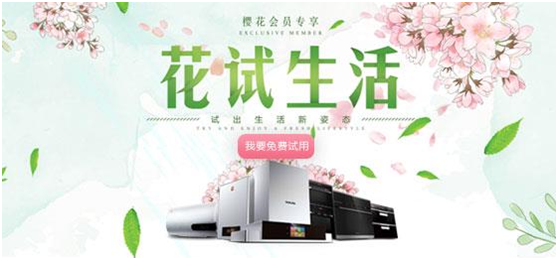 风里雨里，樱花陪你
