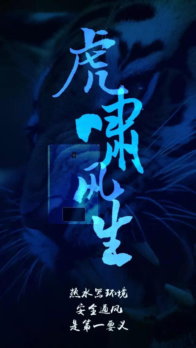 秋老虎当道，我有一套伏虎拳传授给你