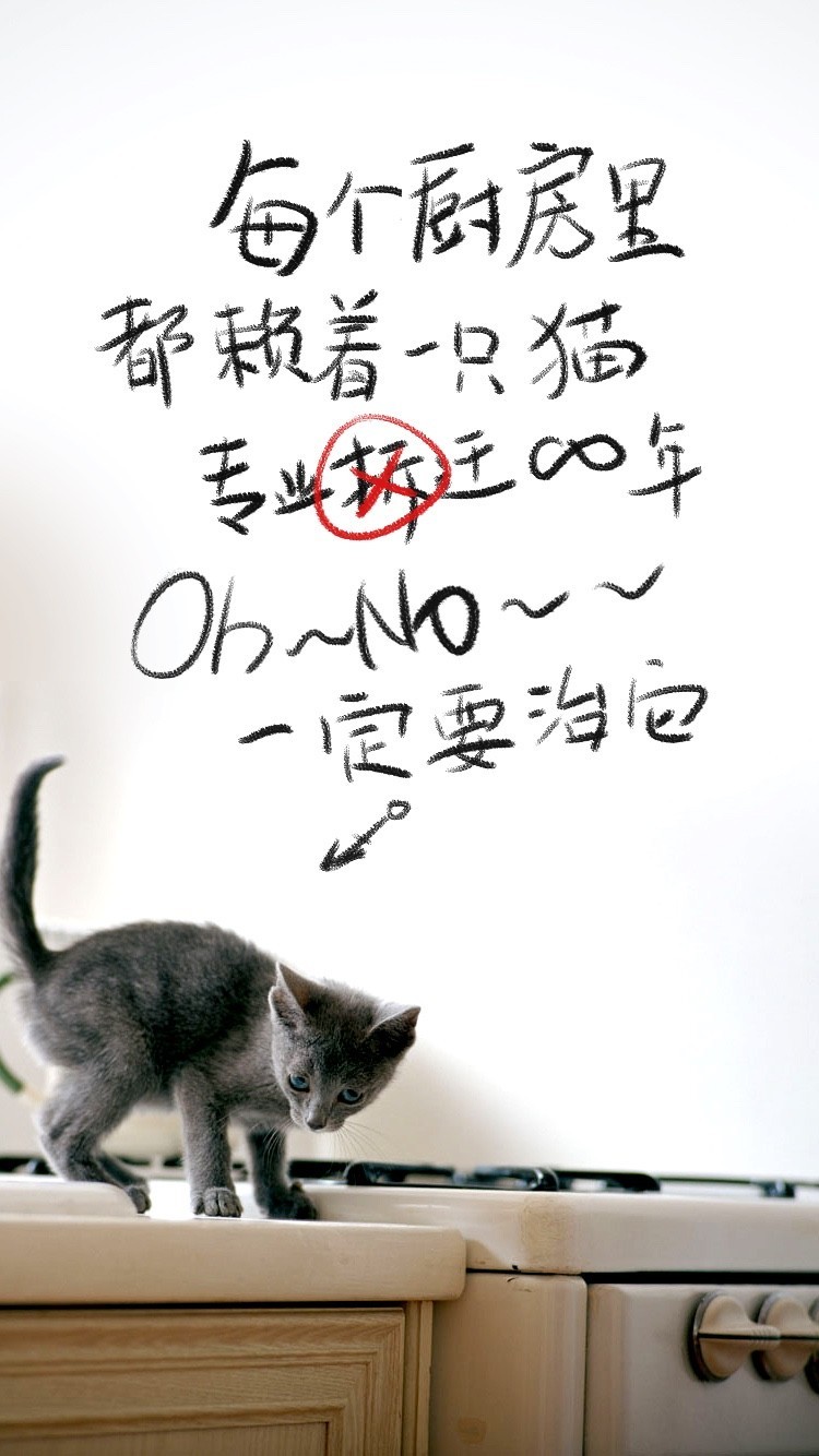 Neng死你厨房里的那只喵
